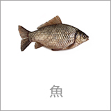 fish_1px_0.jpg