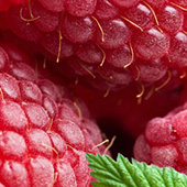 raspberry_170x.jpg